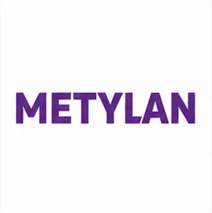 METYLAN